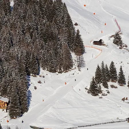 Family Maximilian تكس